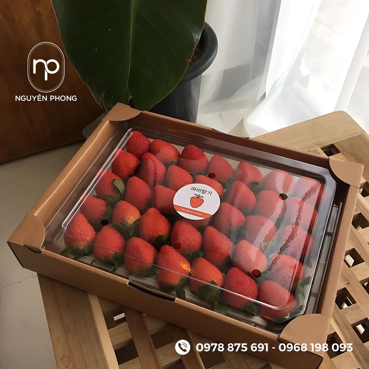 Mẫu tem dán dâu tây 